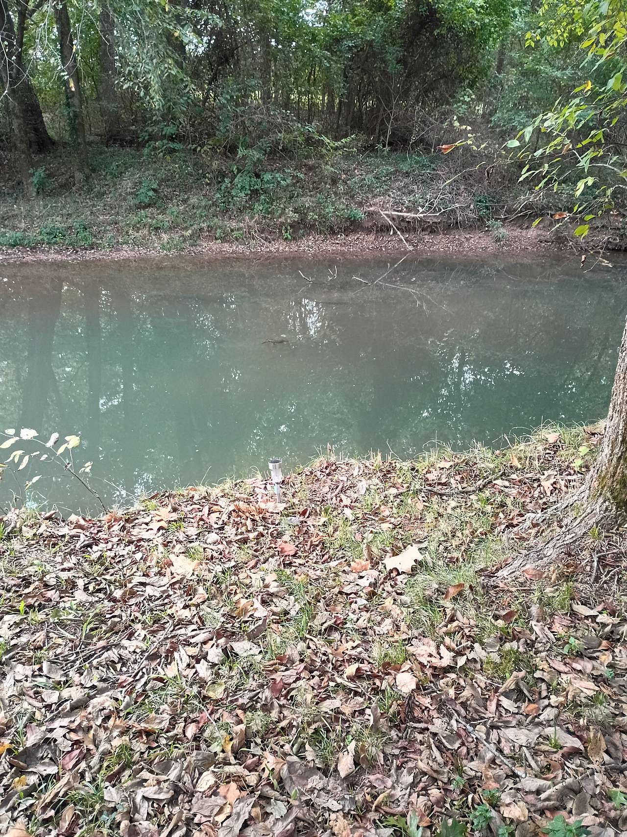 Buehler Farms Glamp site 1