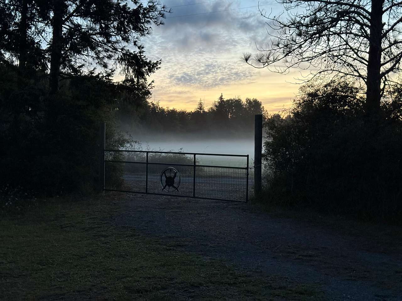 Taken early morning before I left.