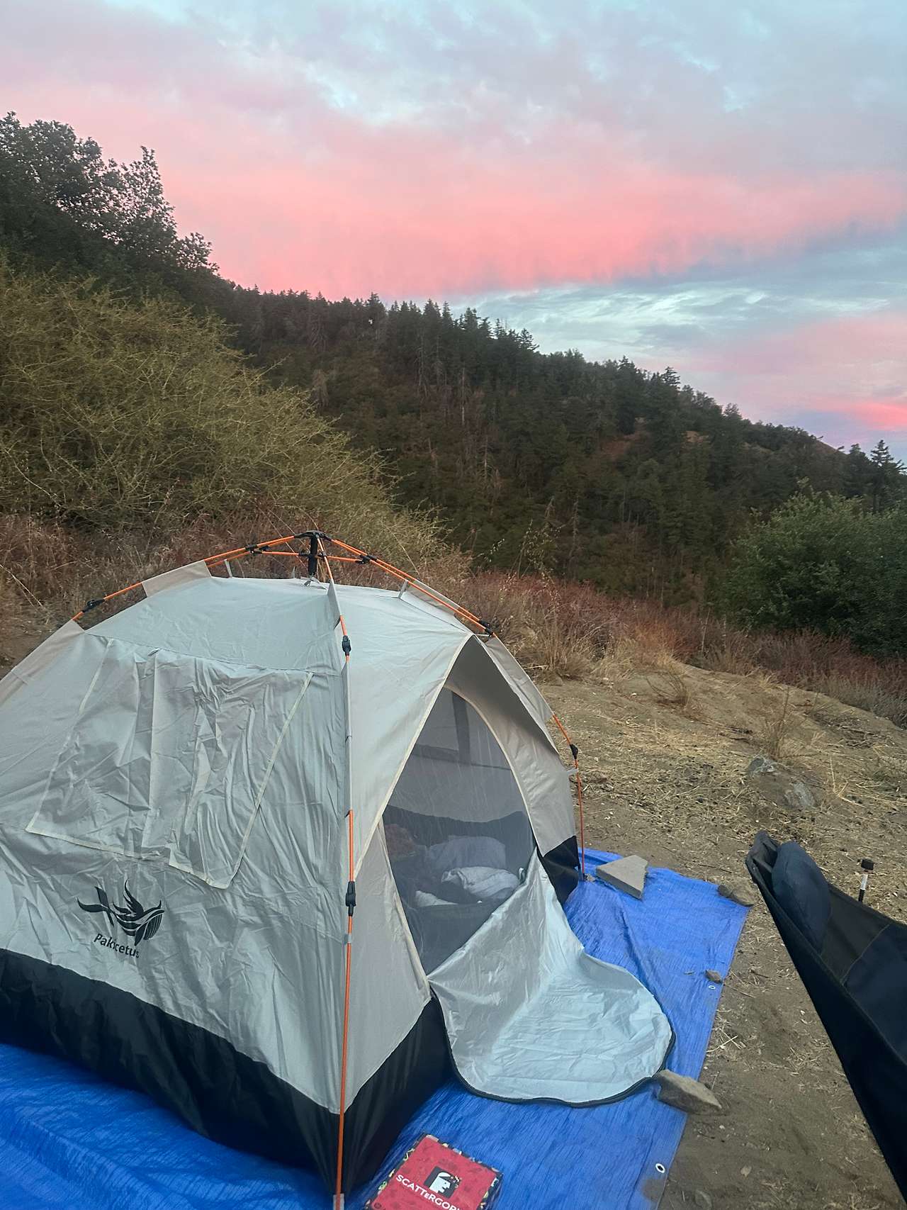 Magical Harrison Serenity Ranch