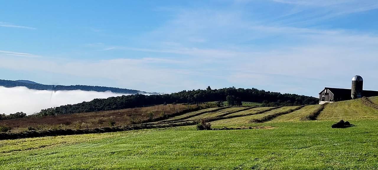 Winn Hill Farms Camping