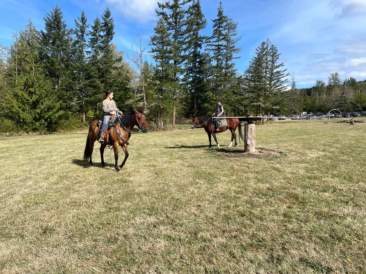 Sage Horse Camp.