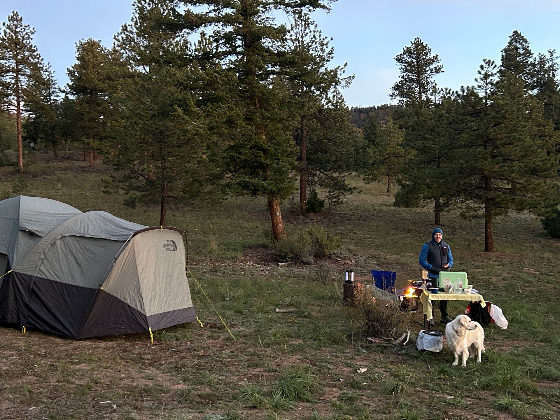 Serenity in the Foothills