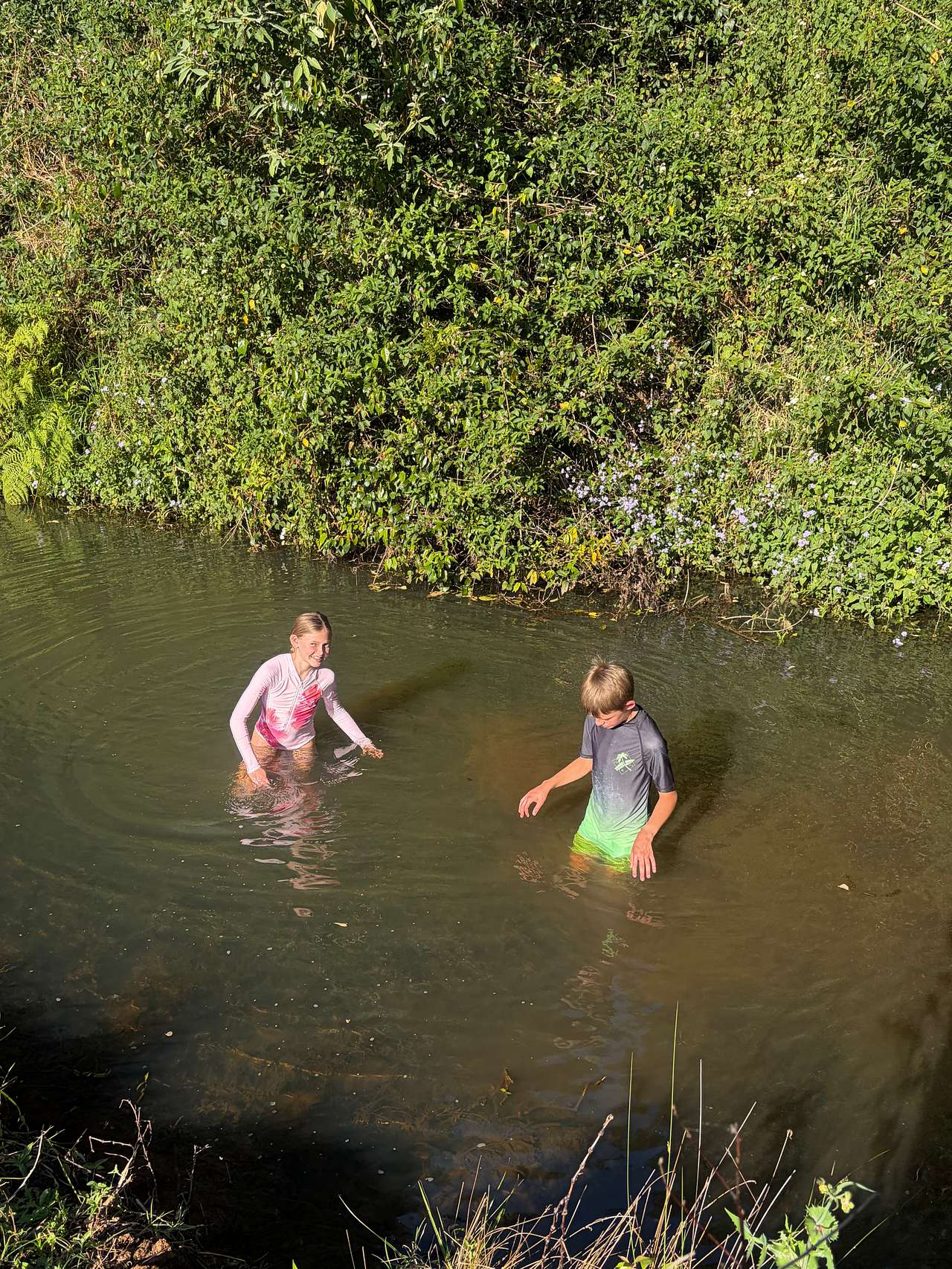 Barachi by the Creek