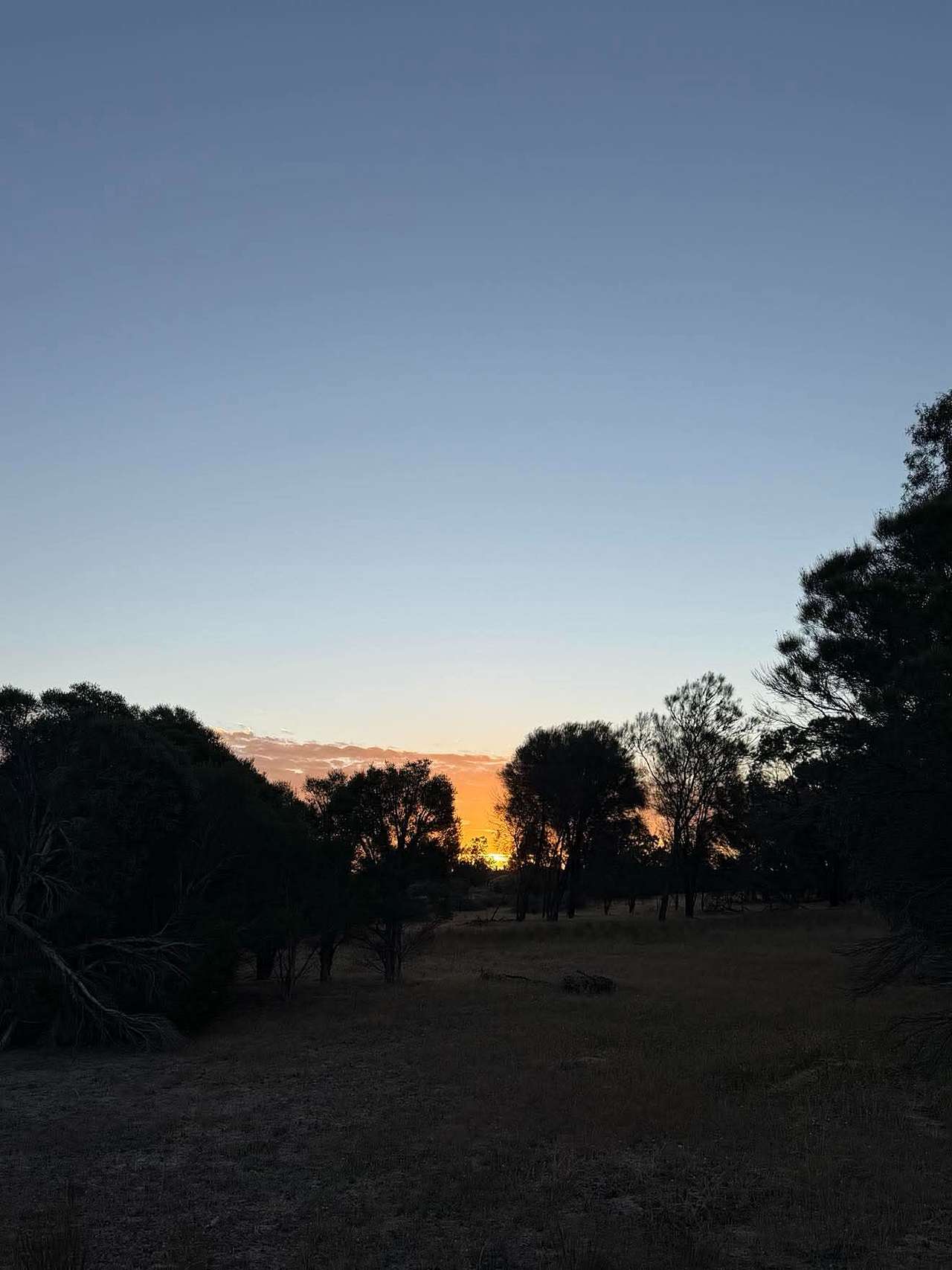 Clearview Farm