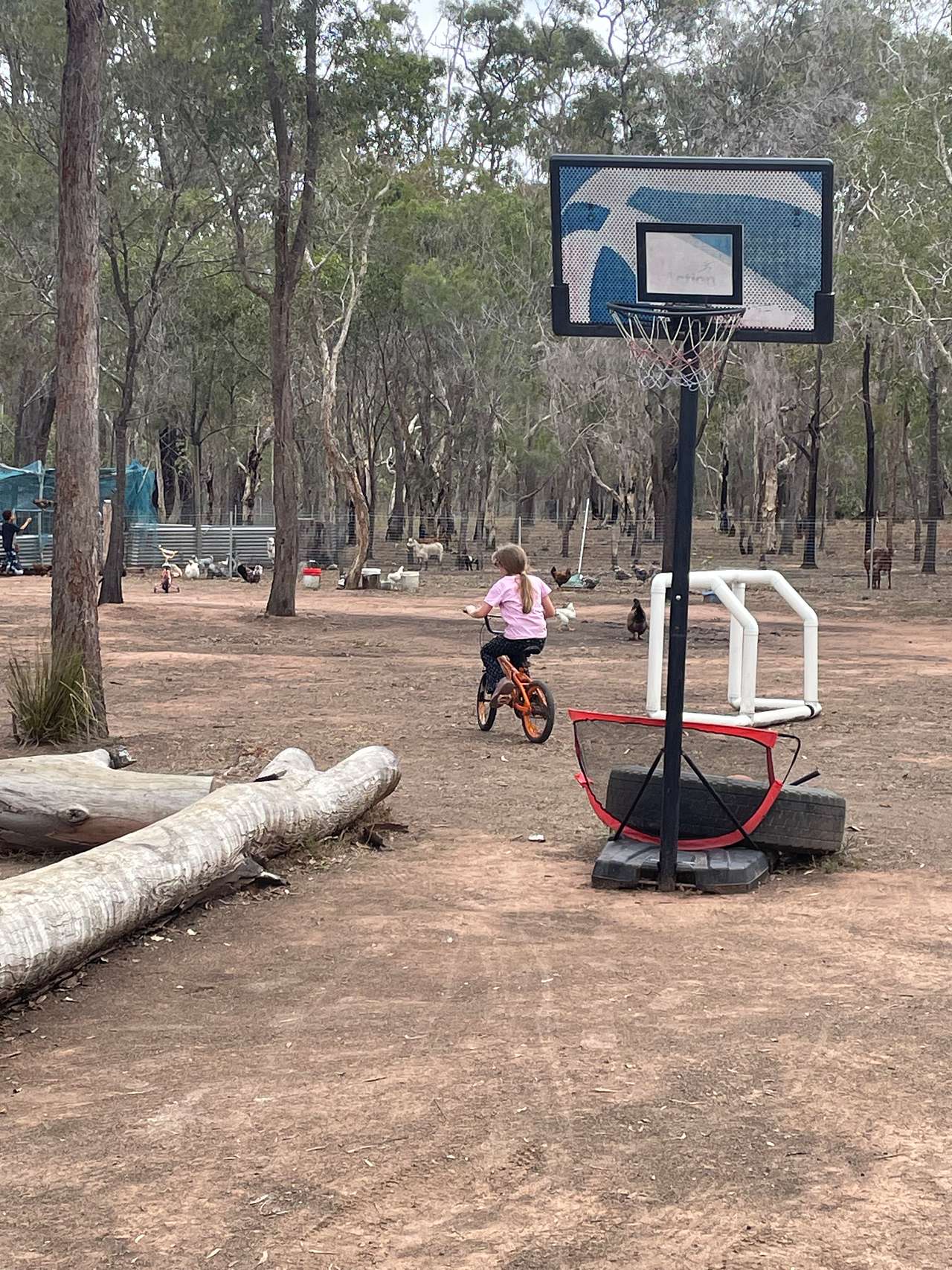 Woodlands Farmstay and Glamping