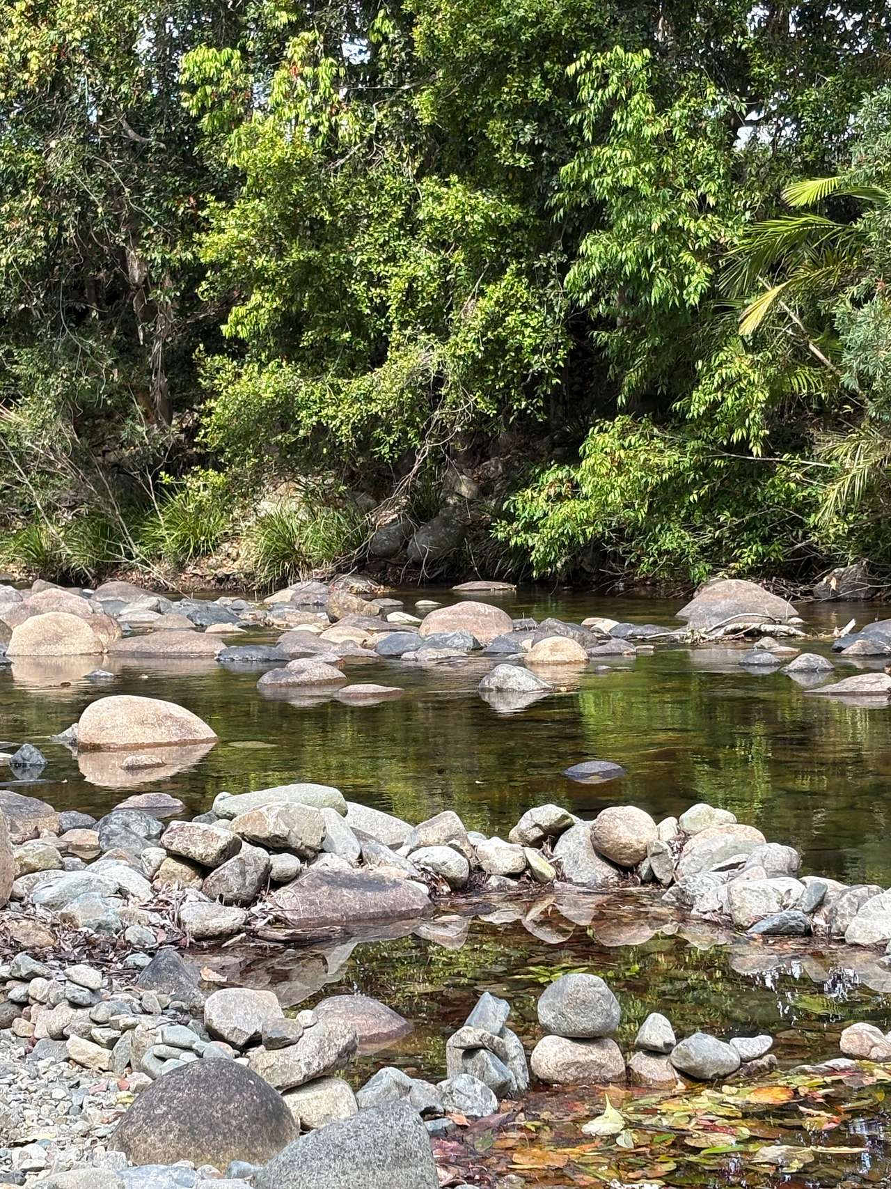 Freshwater