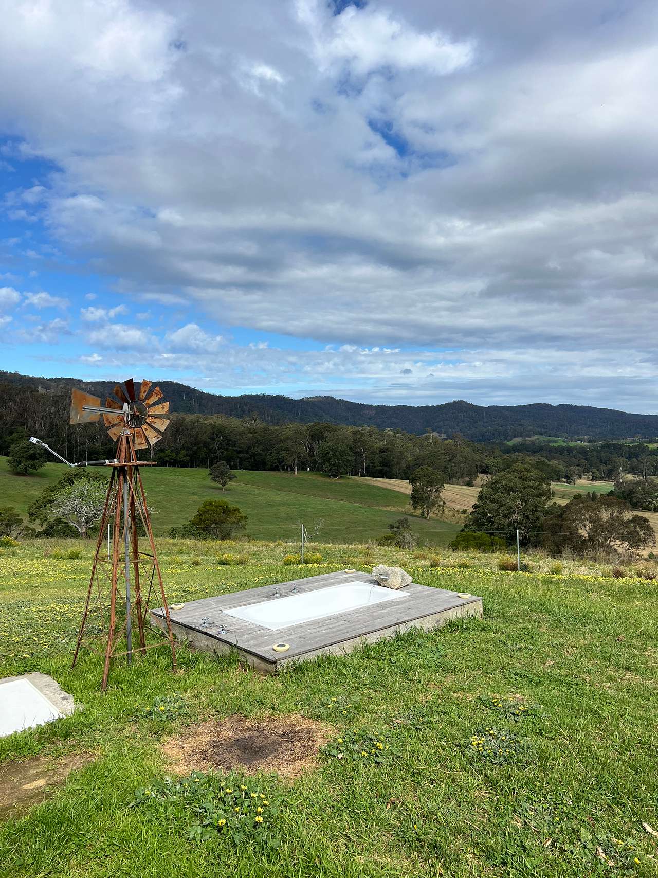 Sapphire Coast Dairy-Homestead