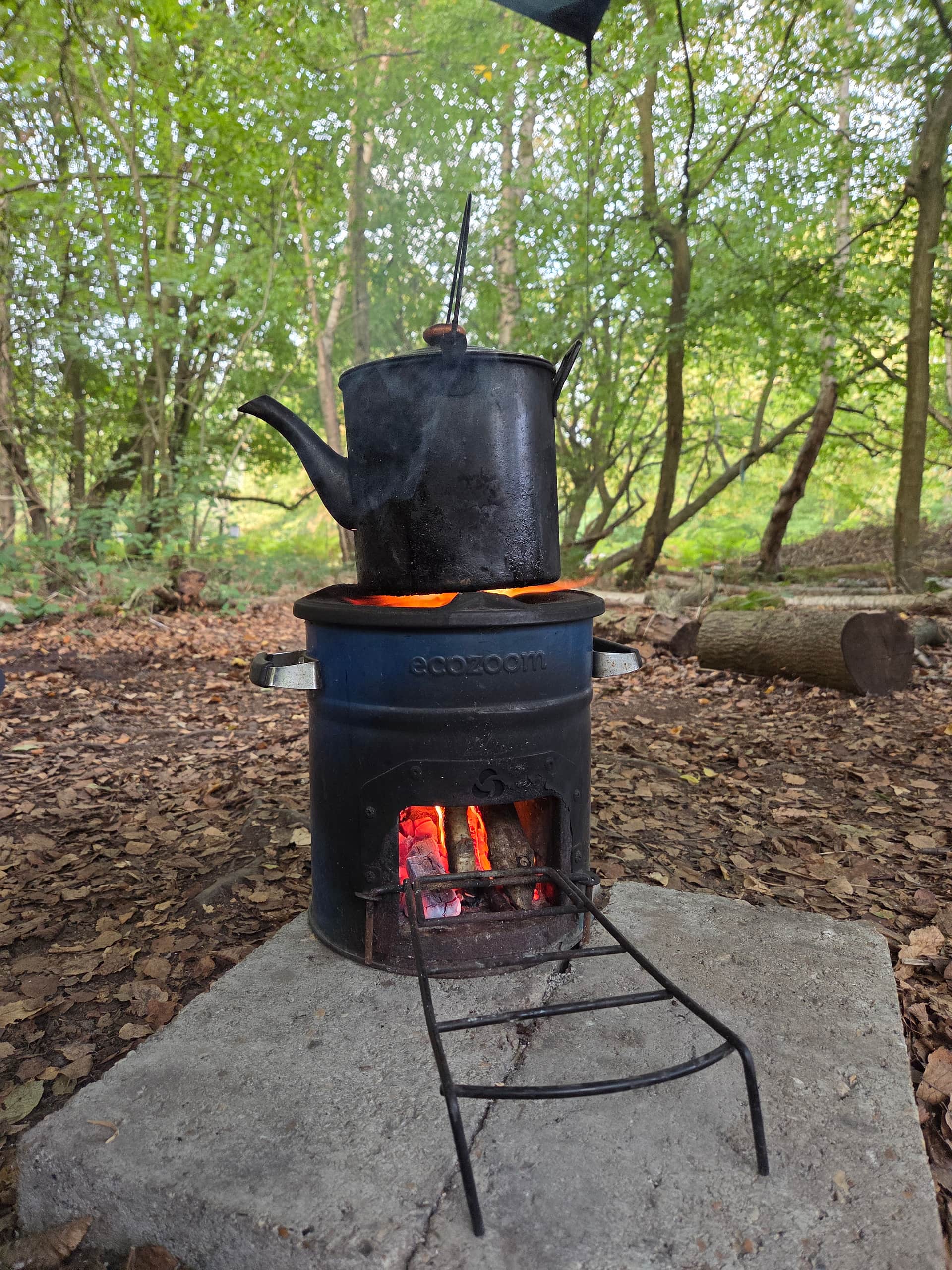 Wild Boar Wood Campsite