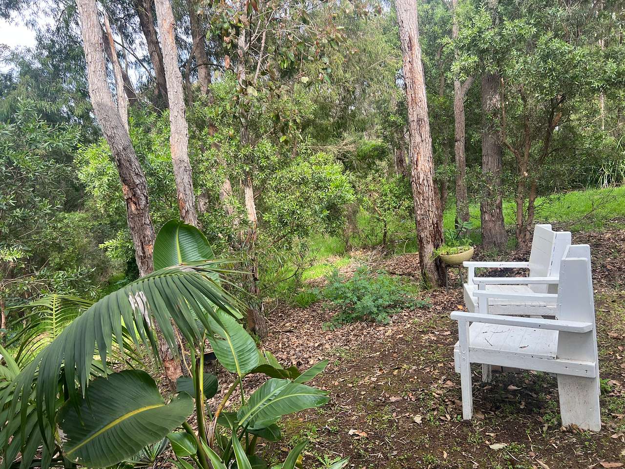 Amaroo Bush Retreat Caravan