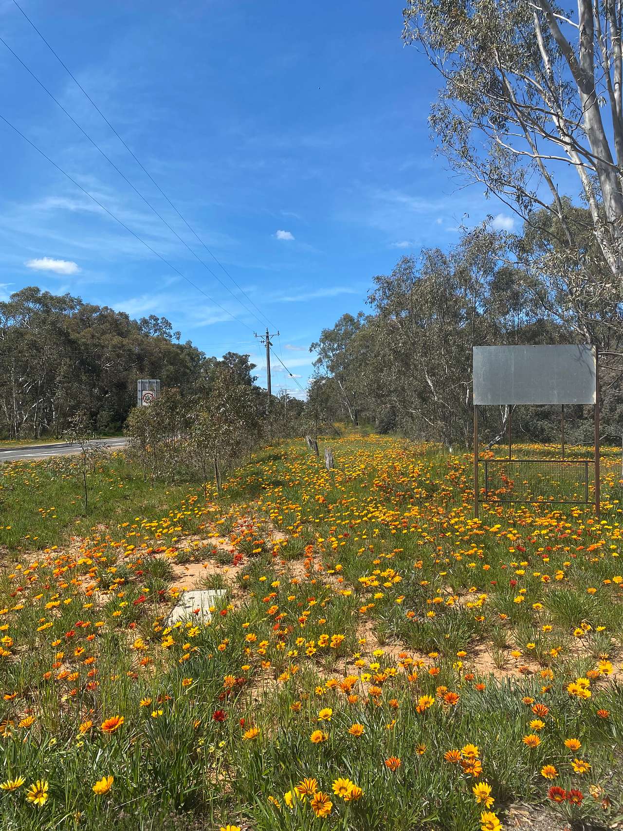 Gooseberry Hill Dunolly