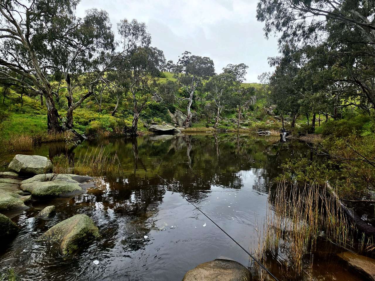Watering hole