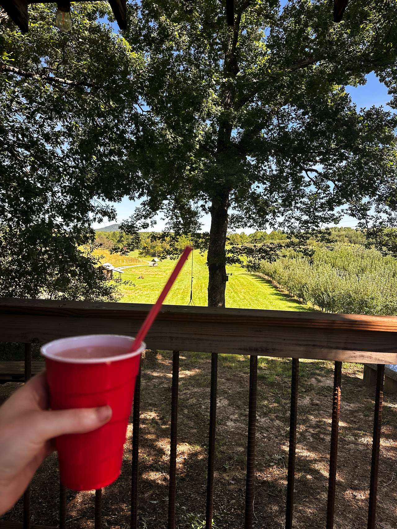 View from the porch at the distillery 