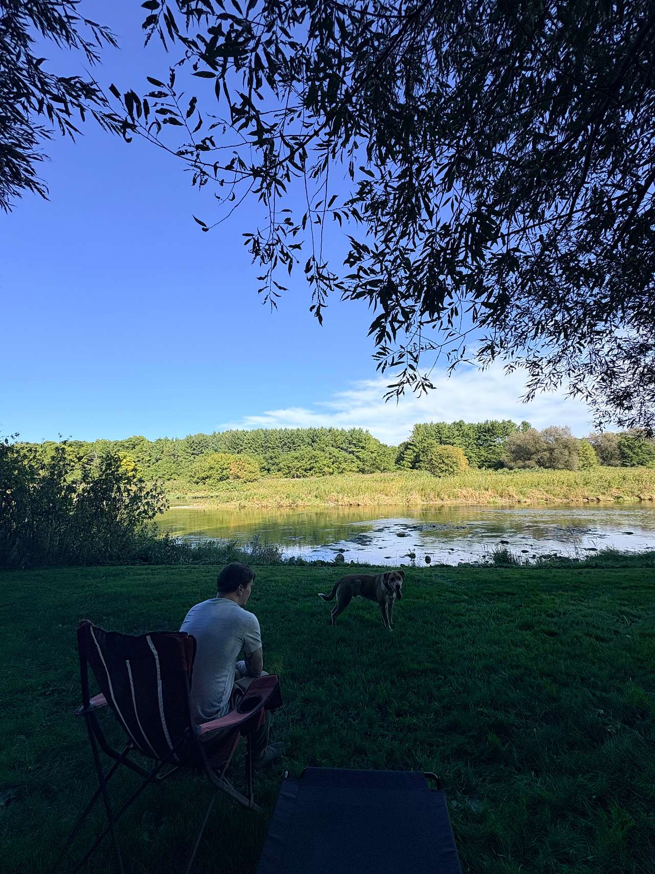 Monarch Meadows Tree Farm