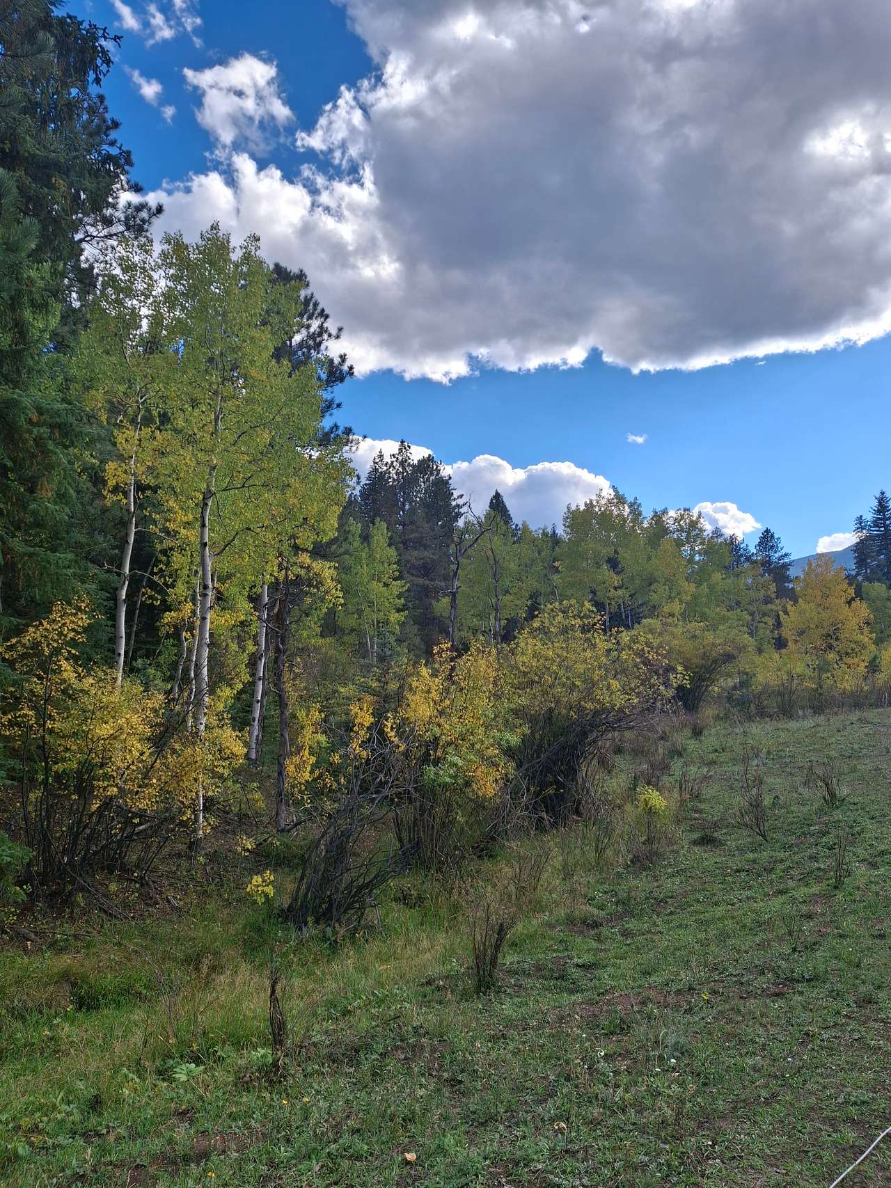 Rustic Creek Ranch