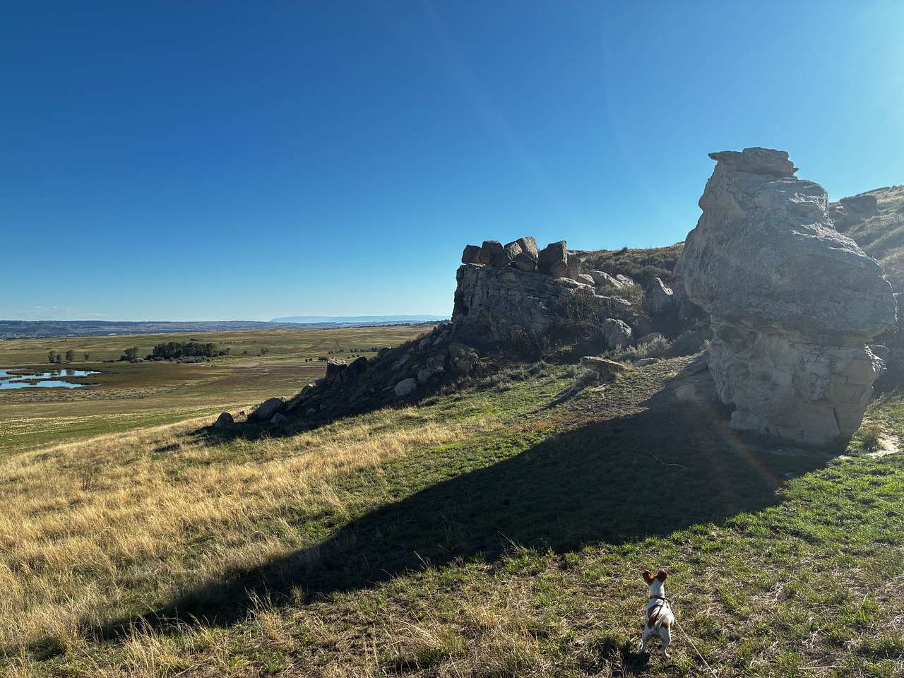Trees, Lake view, Rock buttes!
