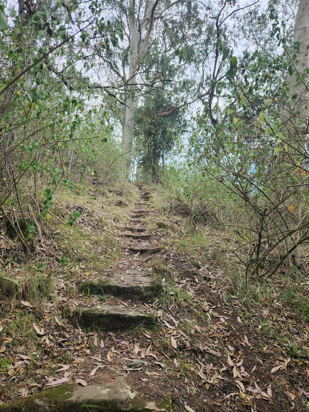 Hunter River Bush Camp