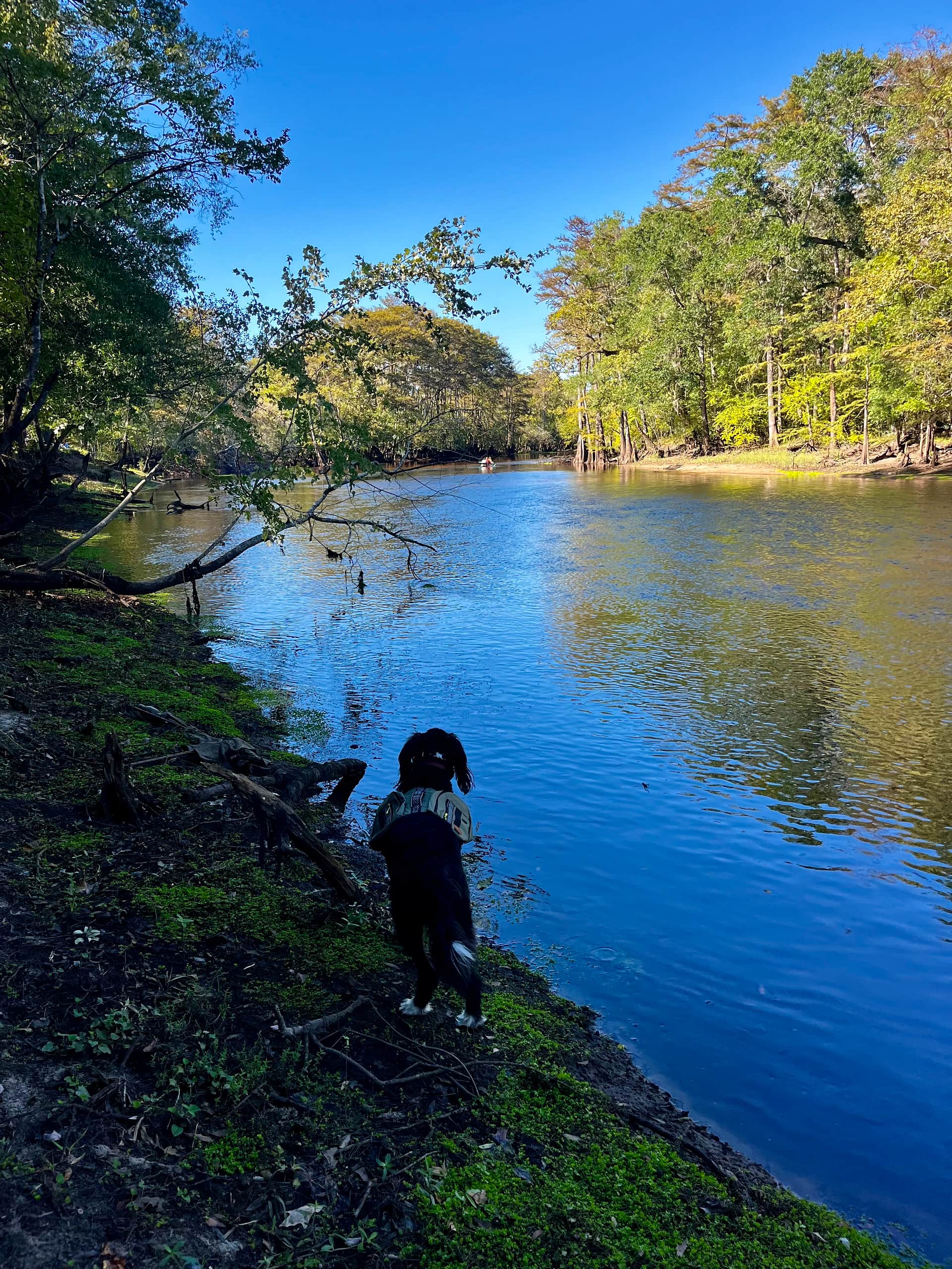 Black River Camping Ventures