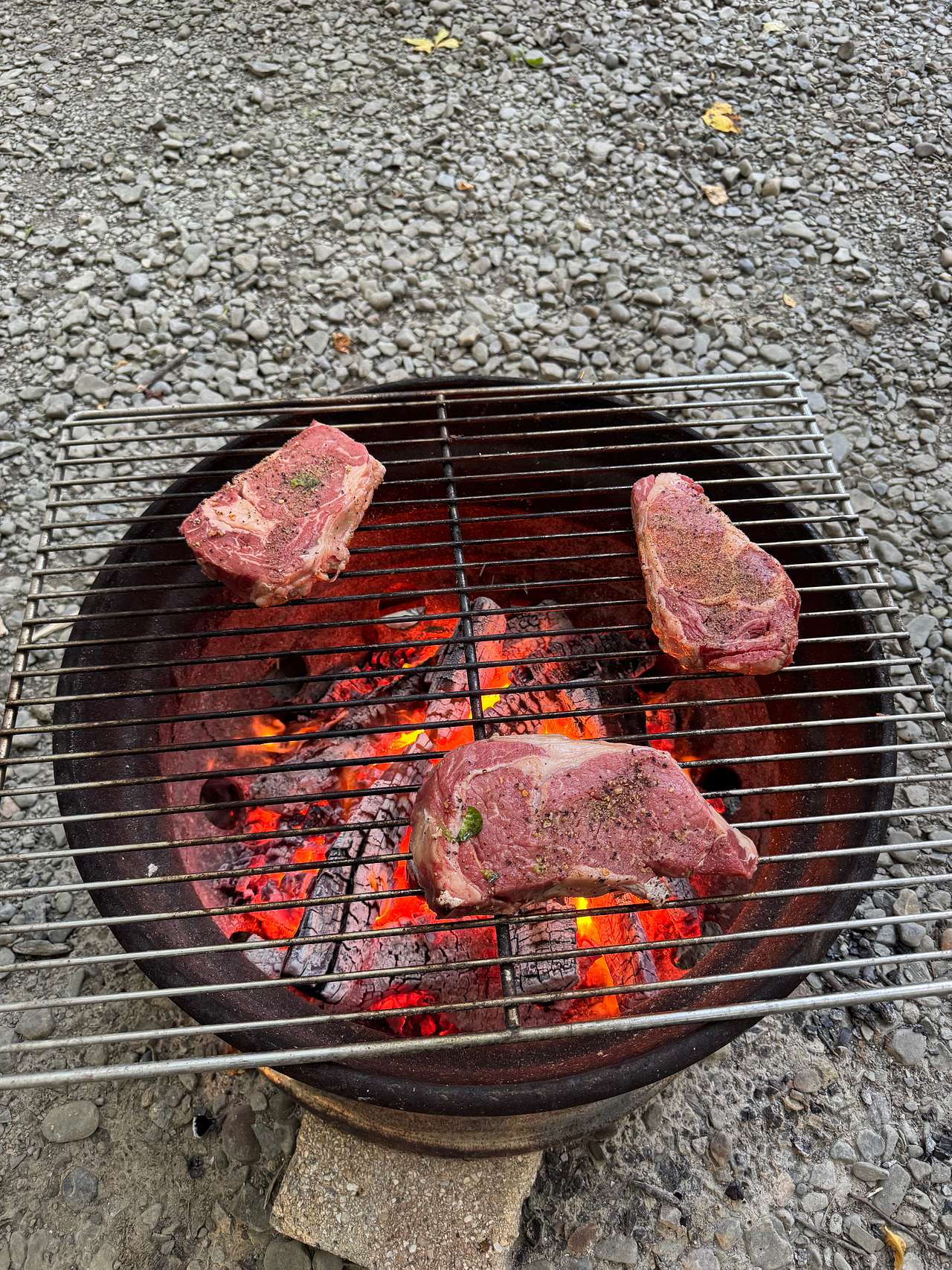 RV/Camper Sites in Watkins Glen NY