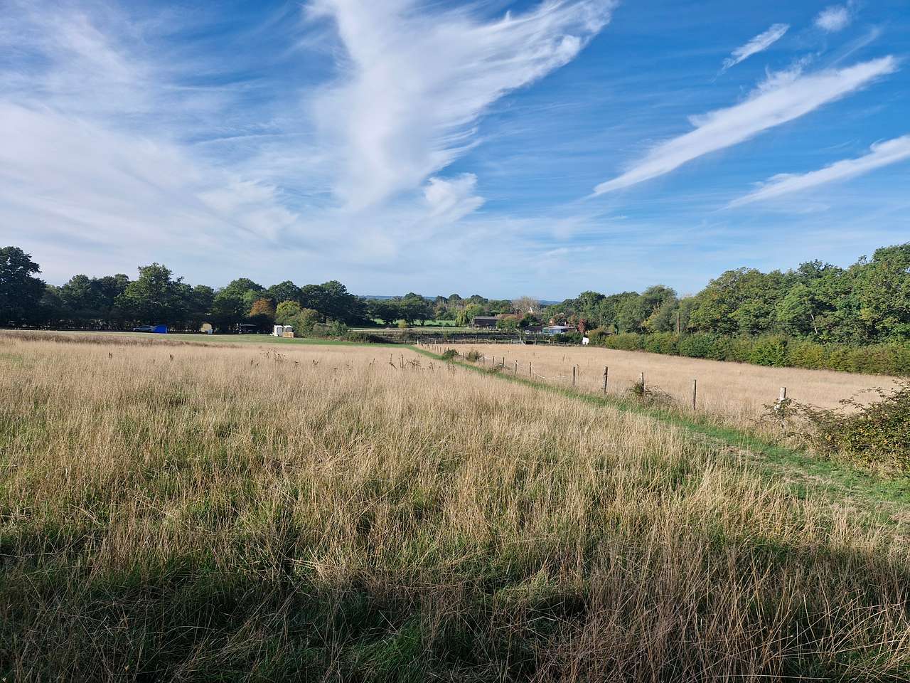Top of the site, looking over the meadow part