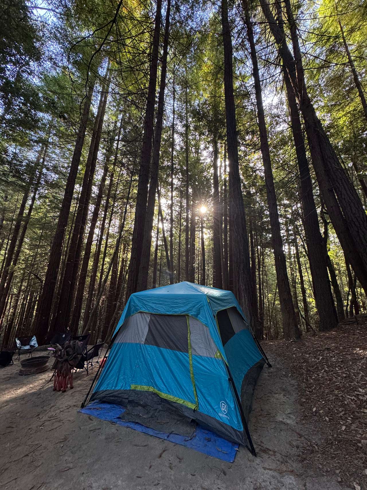 Wildwood Campground & RV Resort