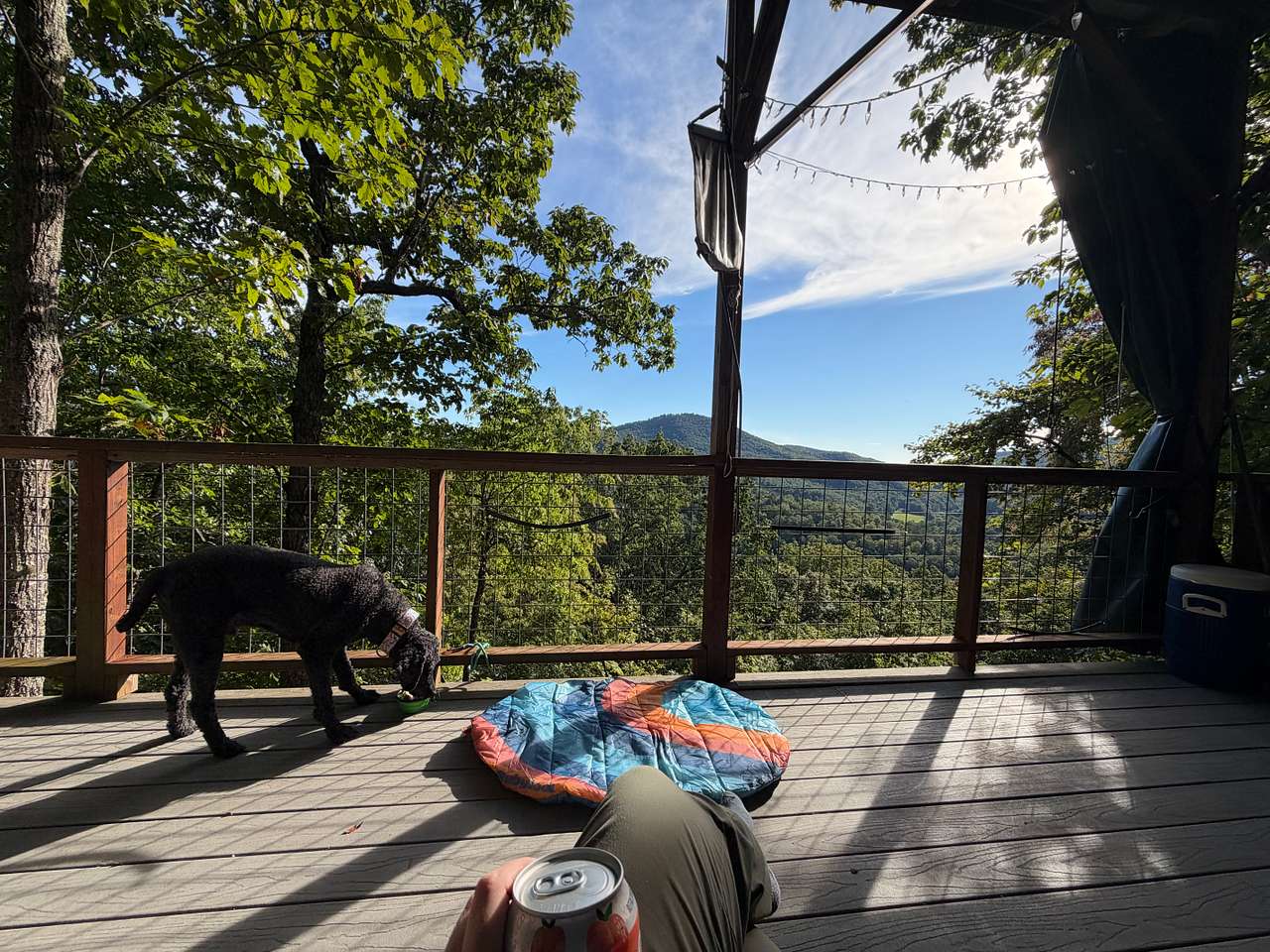 Above the Fray Glamping, Black Mtn.