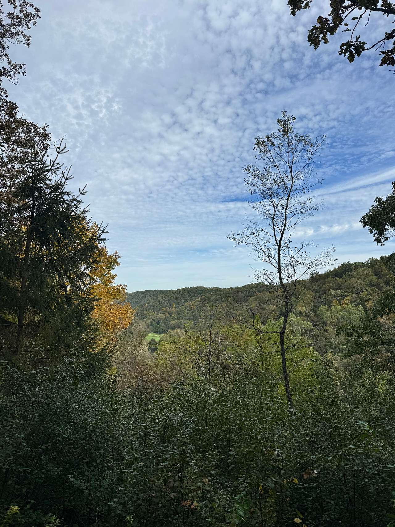 View from the vista trail