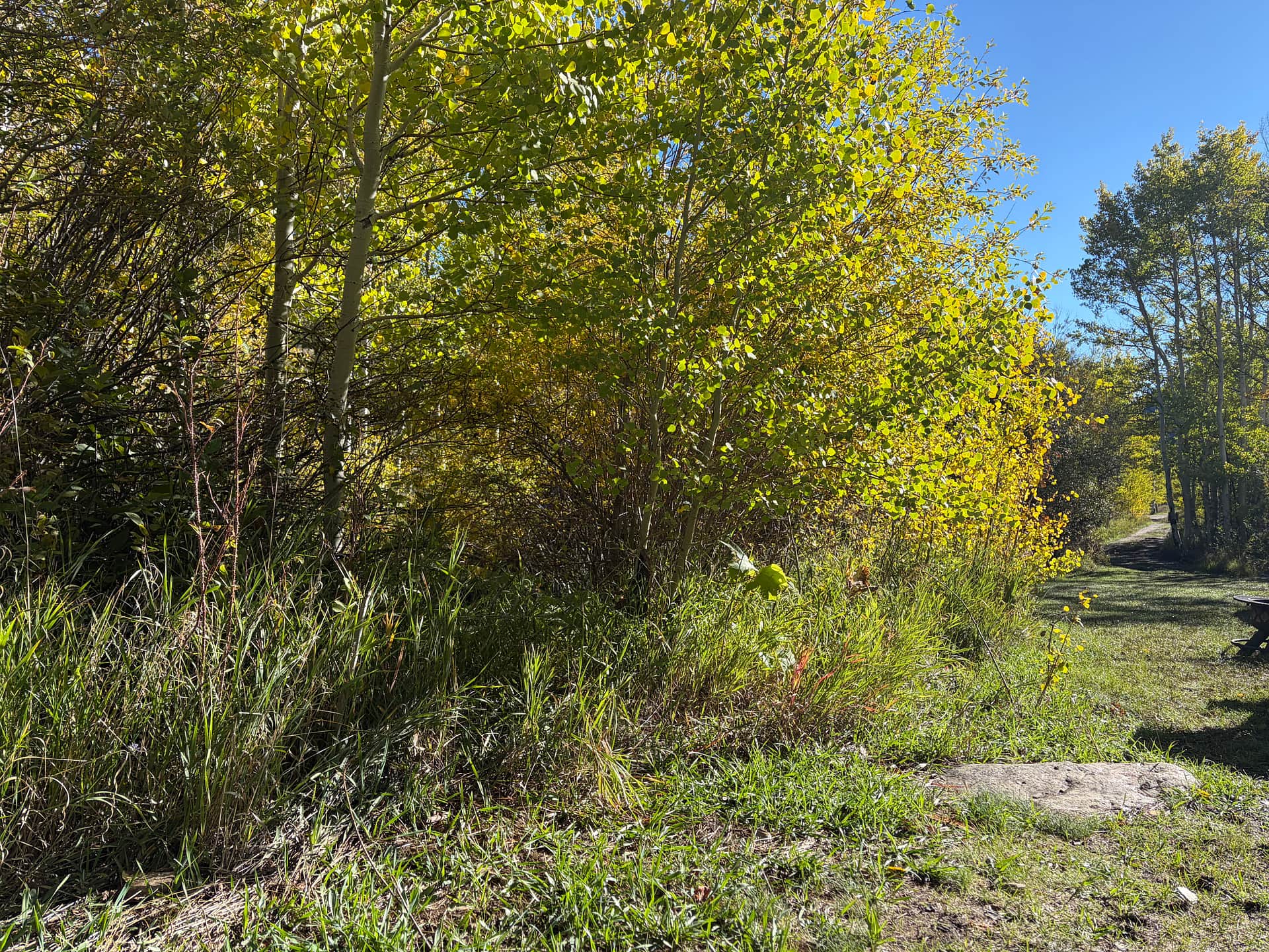 Site 12