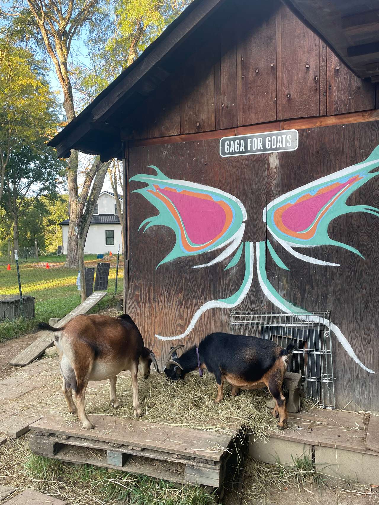 Goat Farm Hide-Away CVNP