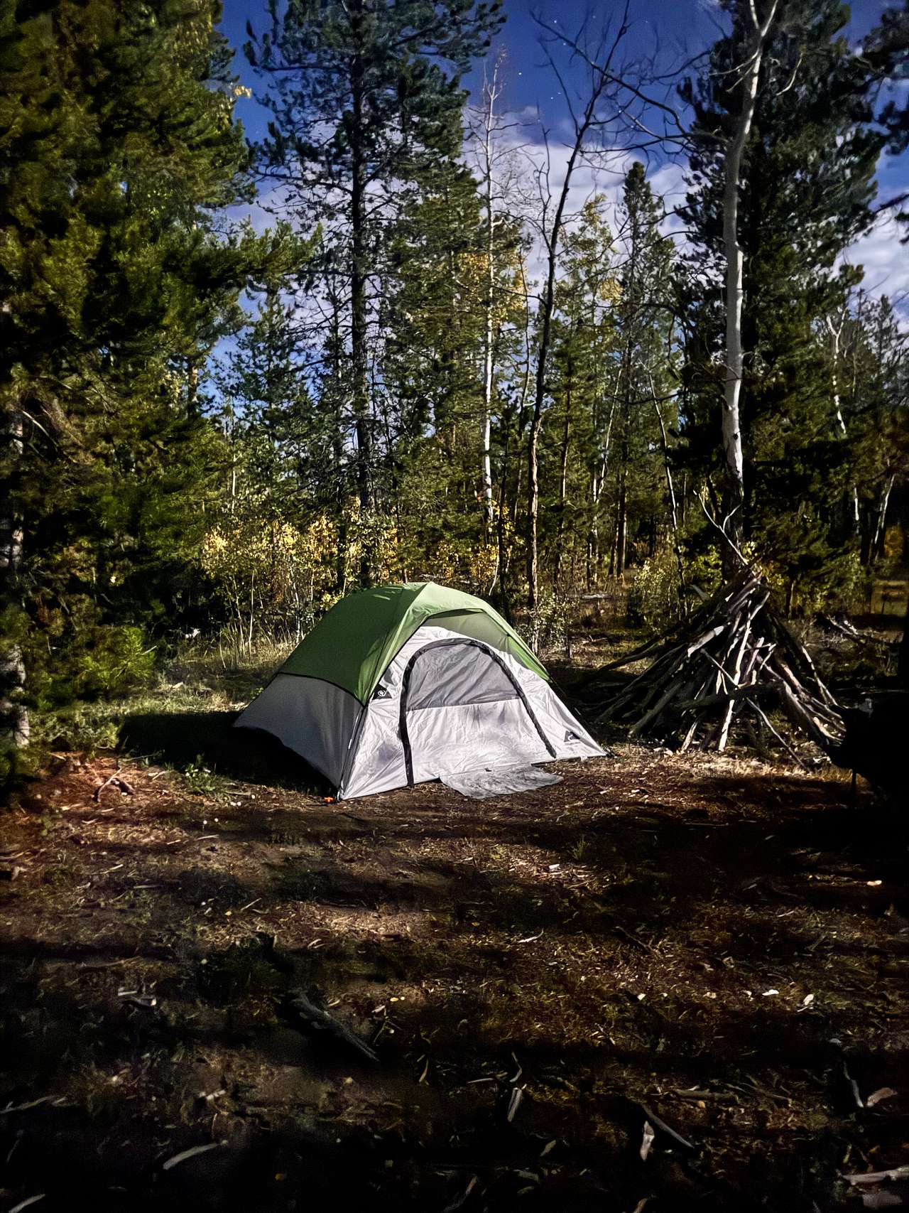 Old Homestead Campground