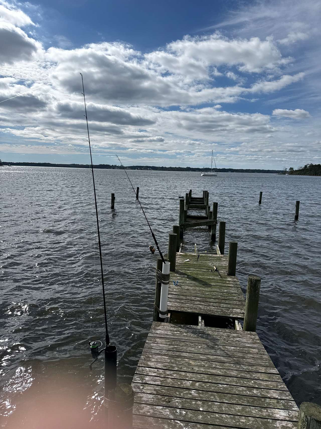 160 Acres  1700's waterfront forest