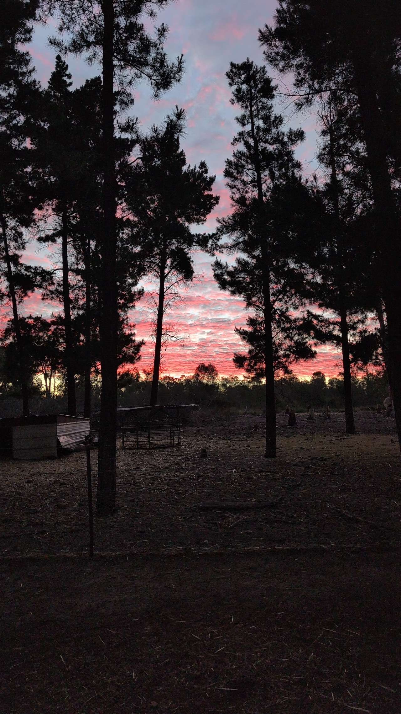 Little Eeden Farm Pine Camp