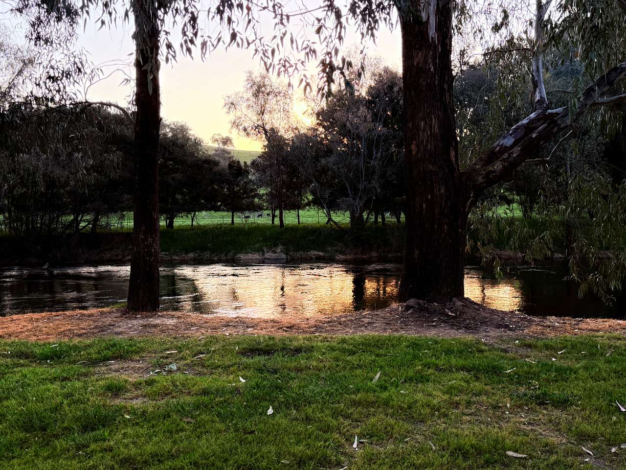Bahwidgee on Tumut River