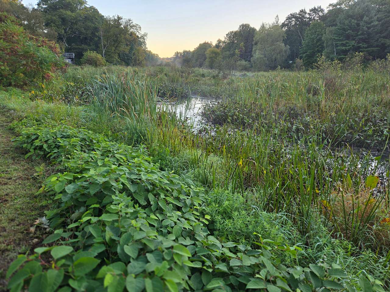 Creekside