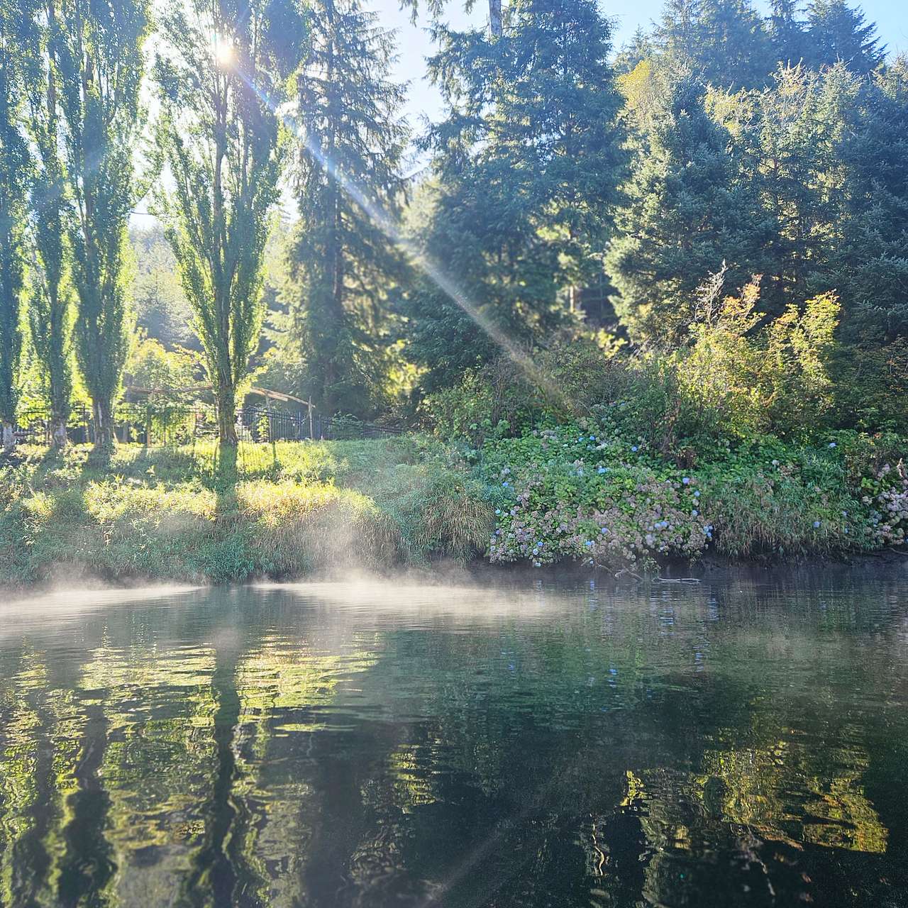 Riverfront Siletz Camp