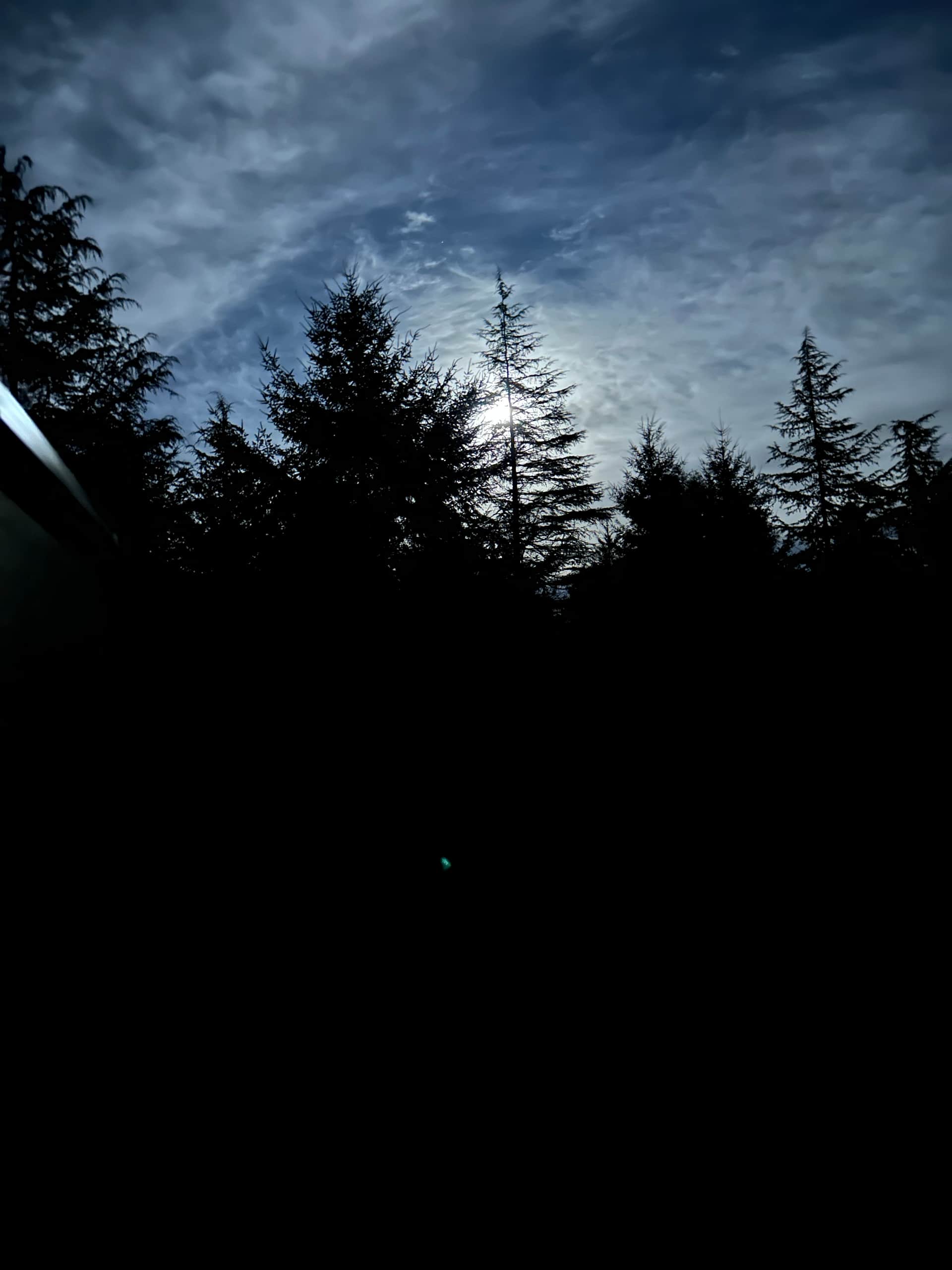 Moonlight 