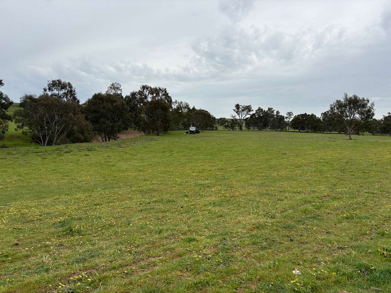 Sheep Dip Hill