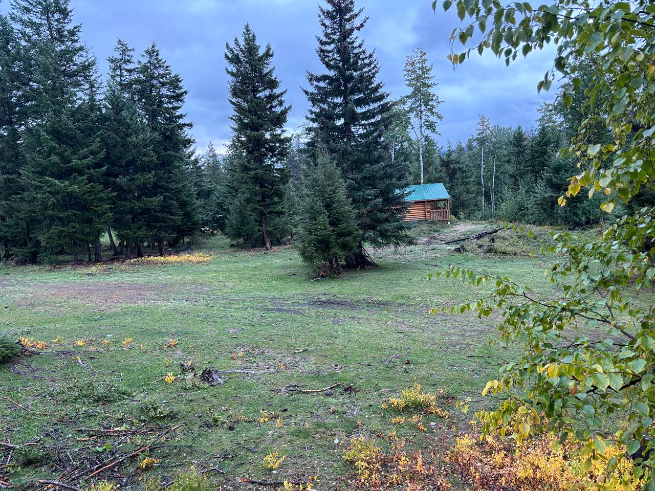 Log Cabins / Camping in Gold Bridge
