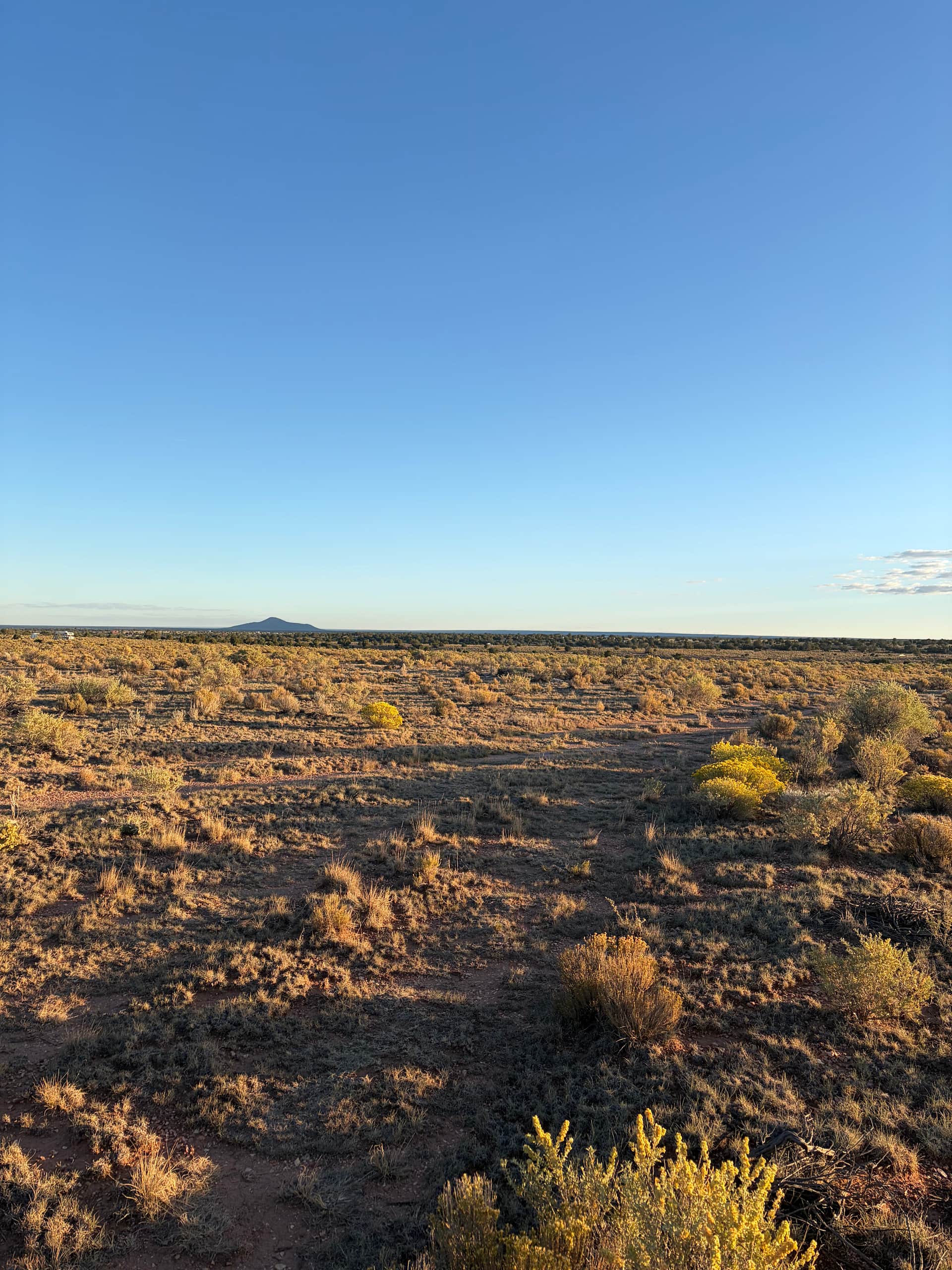 Farrington Ranch