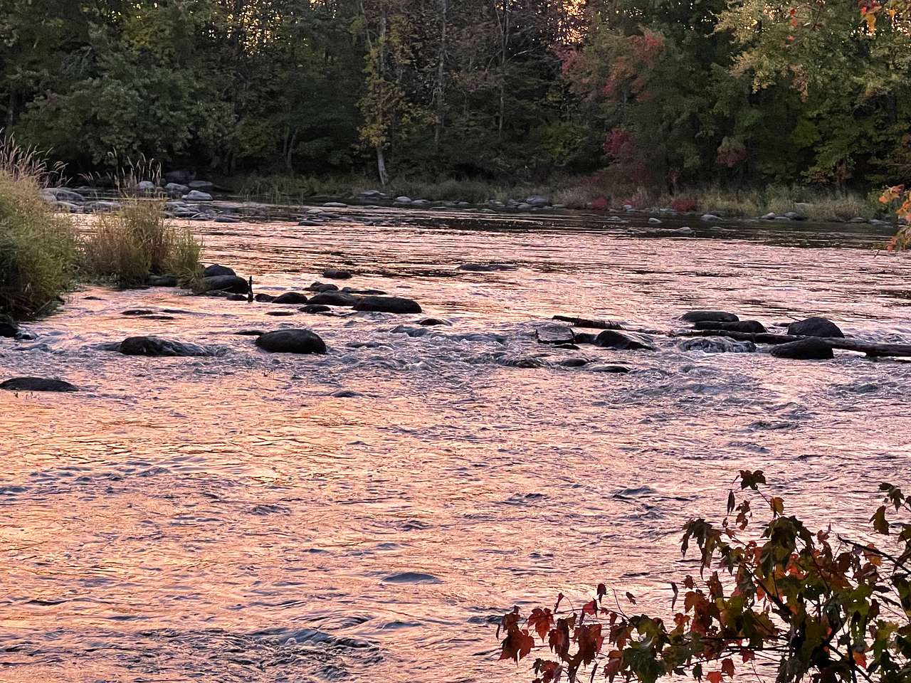 The running river that you can hear as you fall asleep!