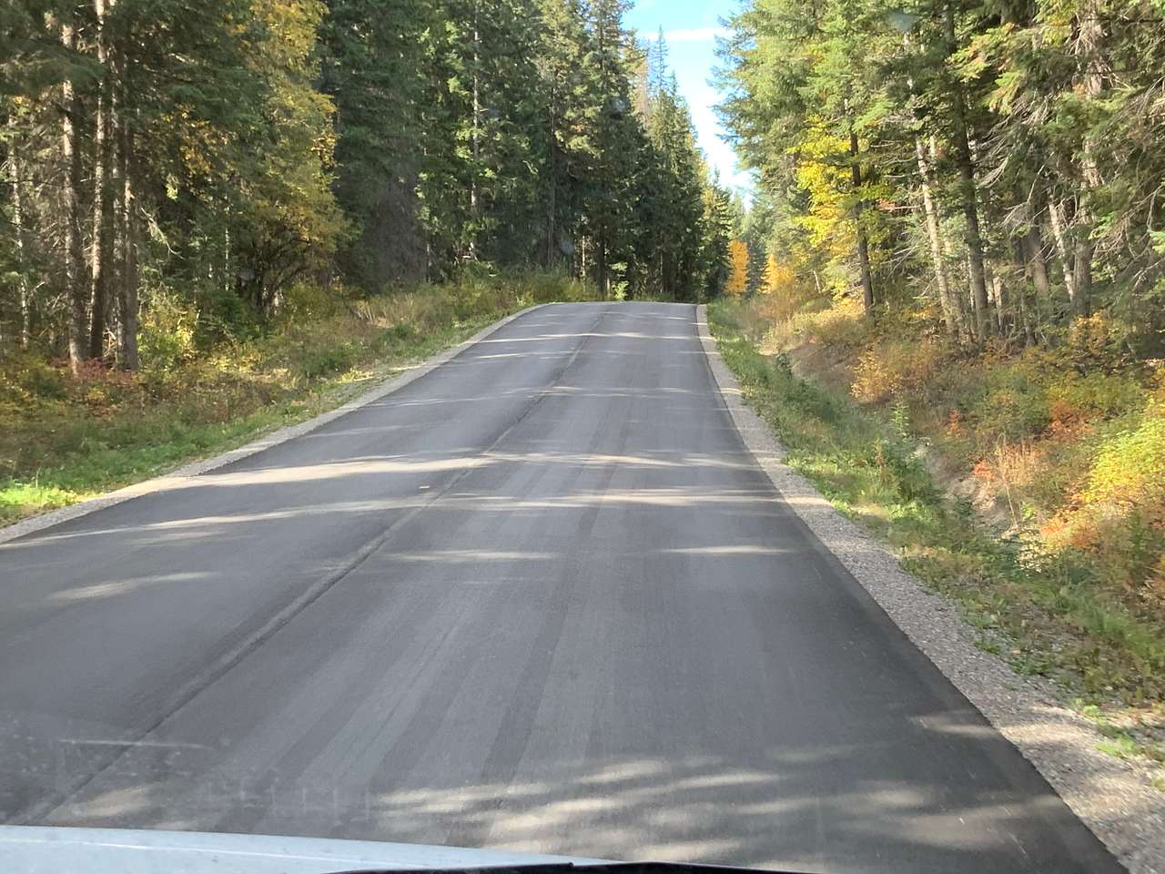 Autumn on Blaeberry Road