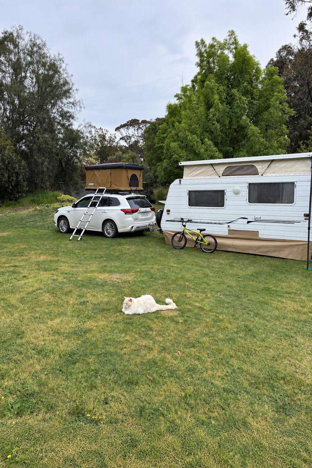 Whipstick forest retreat