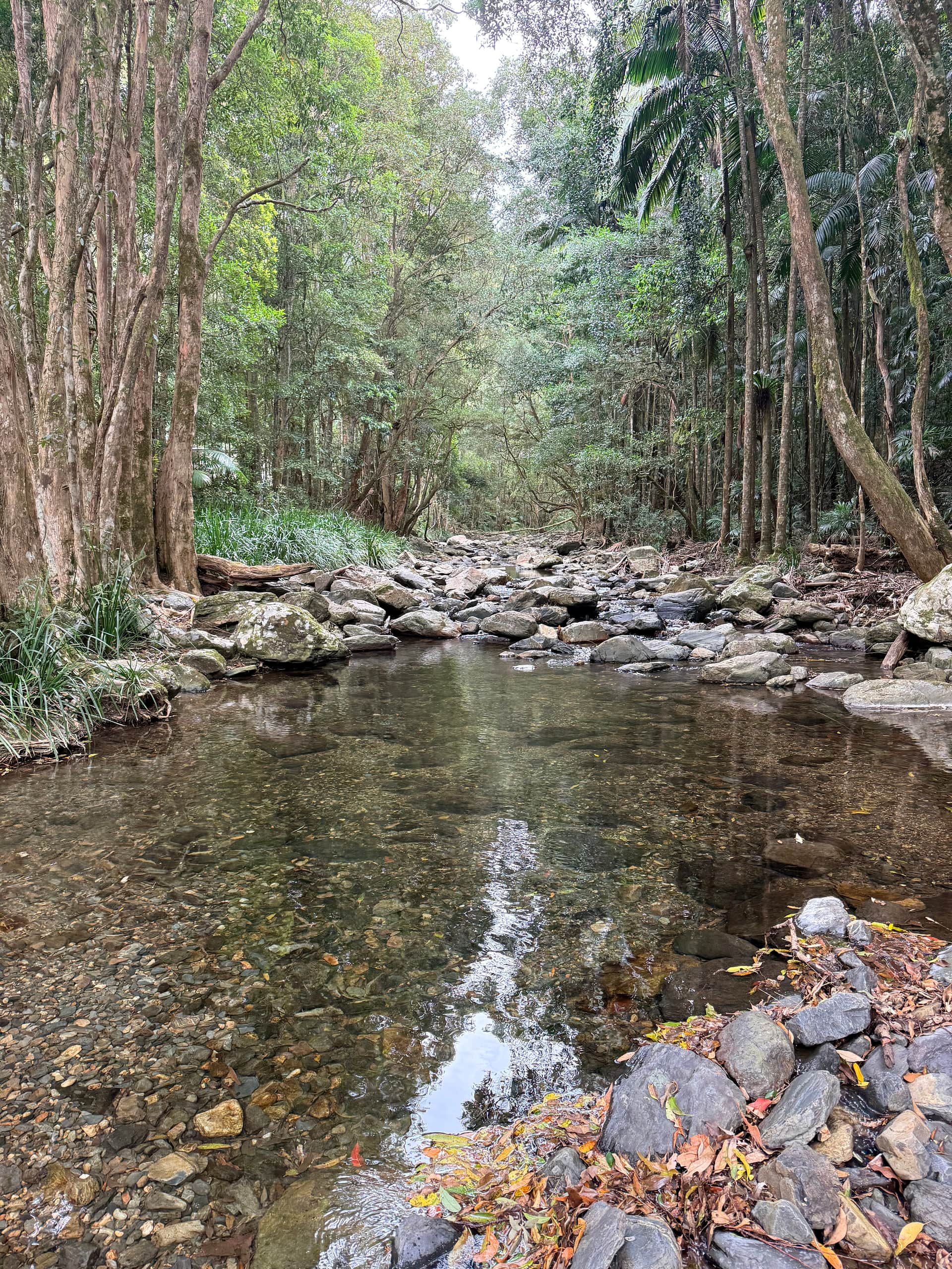 Oasis of Hope