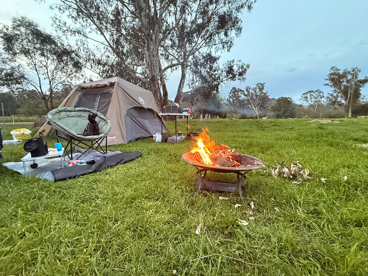 Riverside Goulburn River