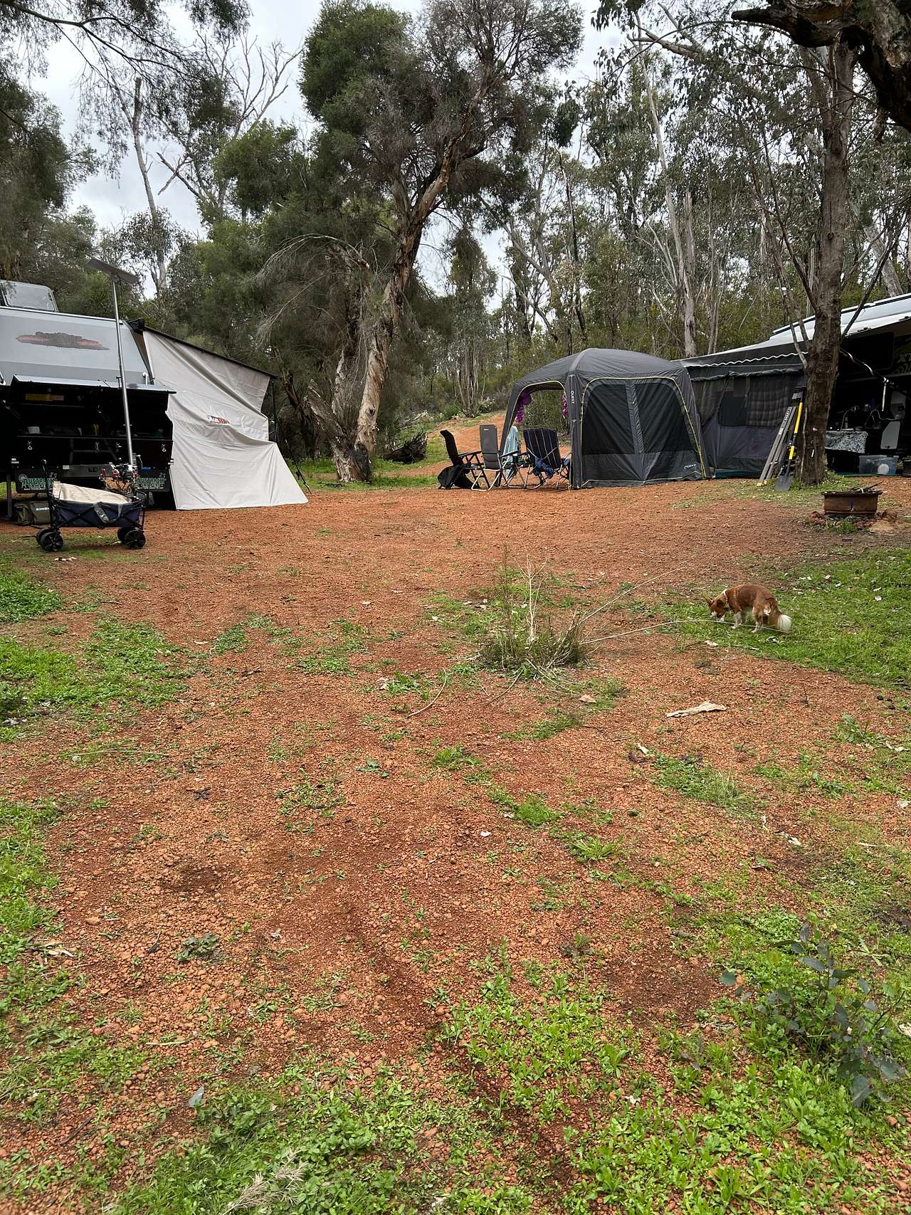 Murray Valley Camping