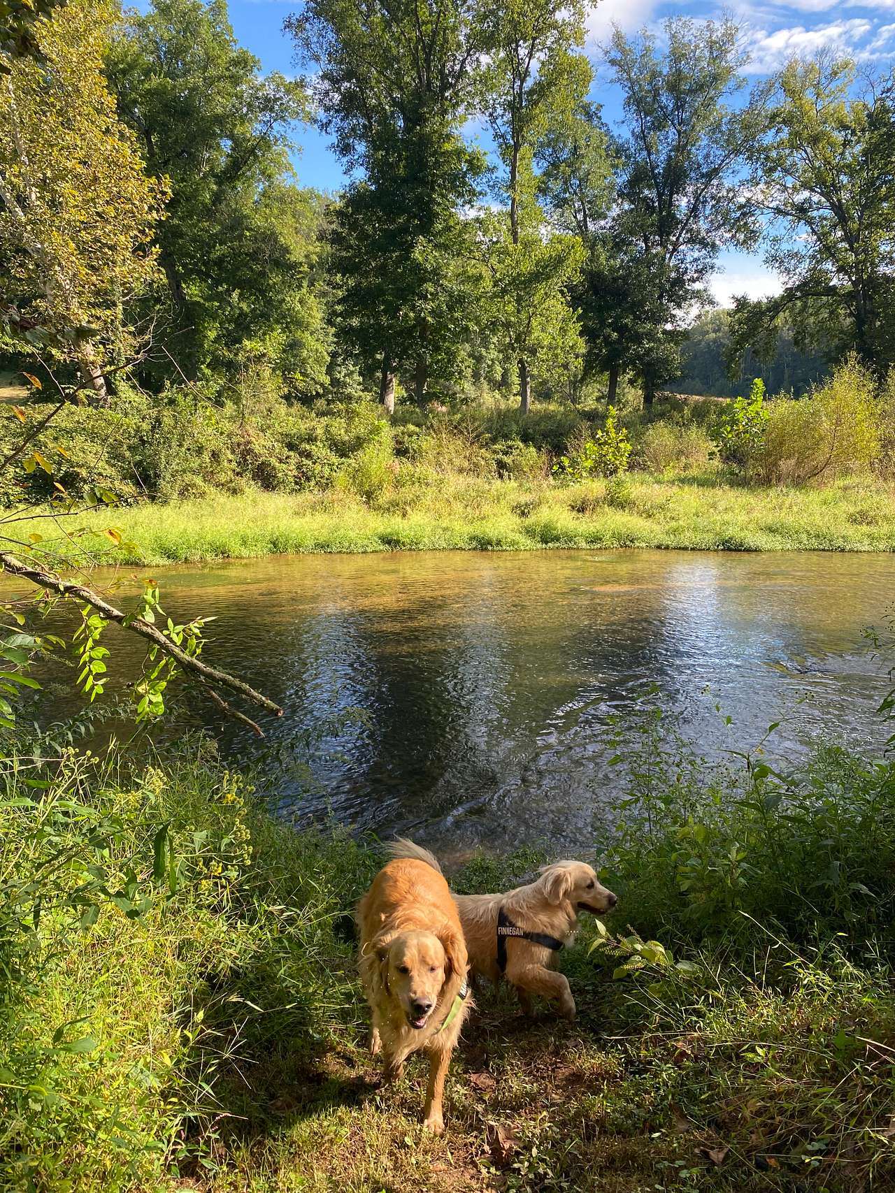 Two Rivers Campsites