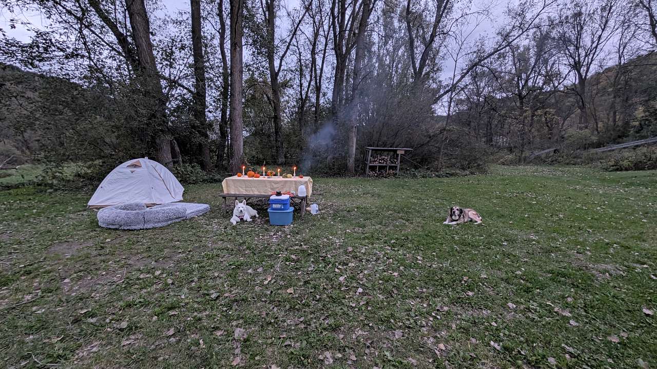 New Hartford trout camp