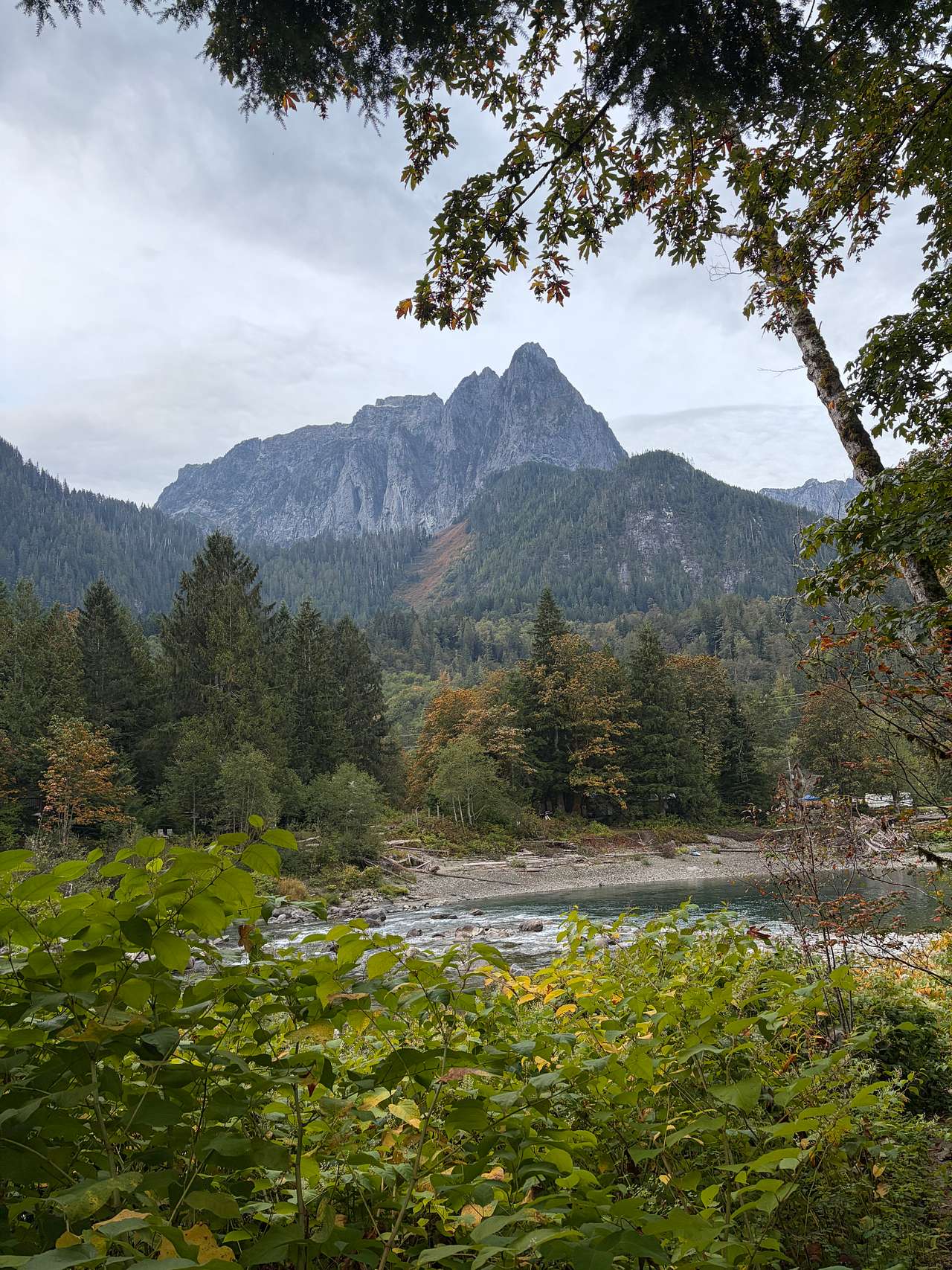 View from eagle site. 