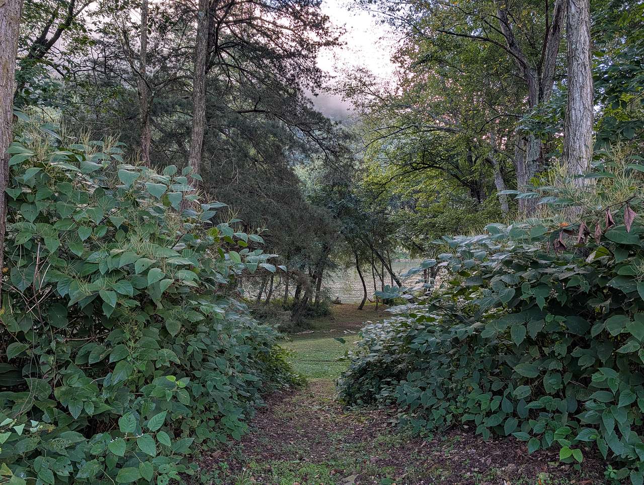 Green Acres Glampground