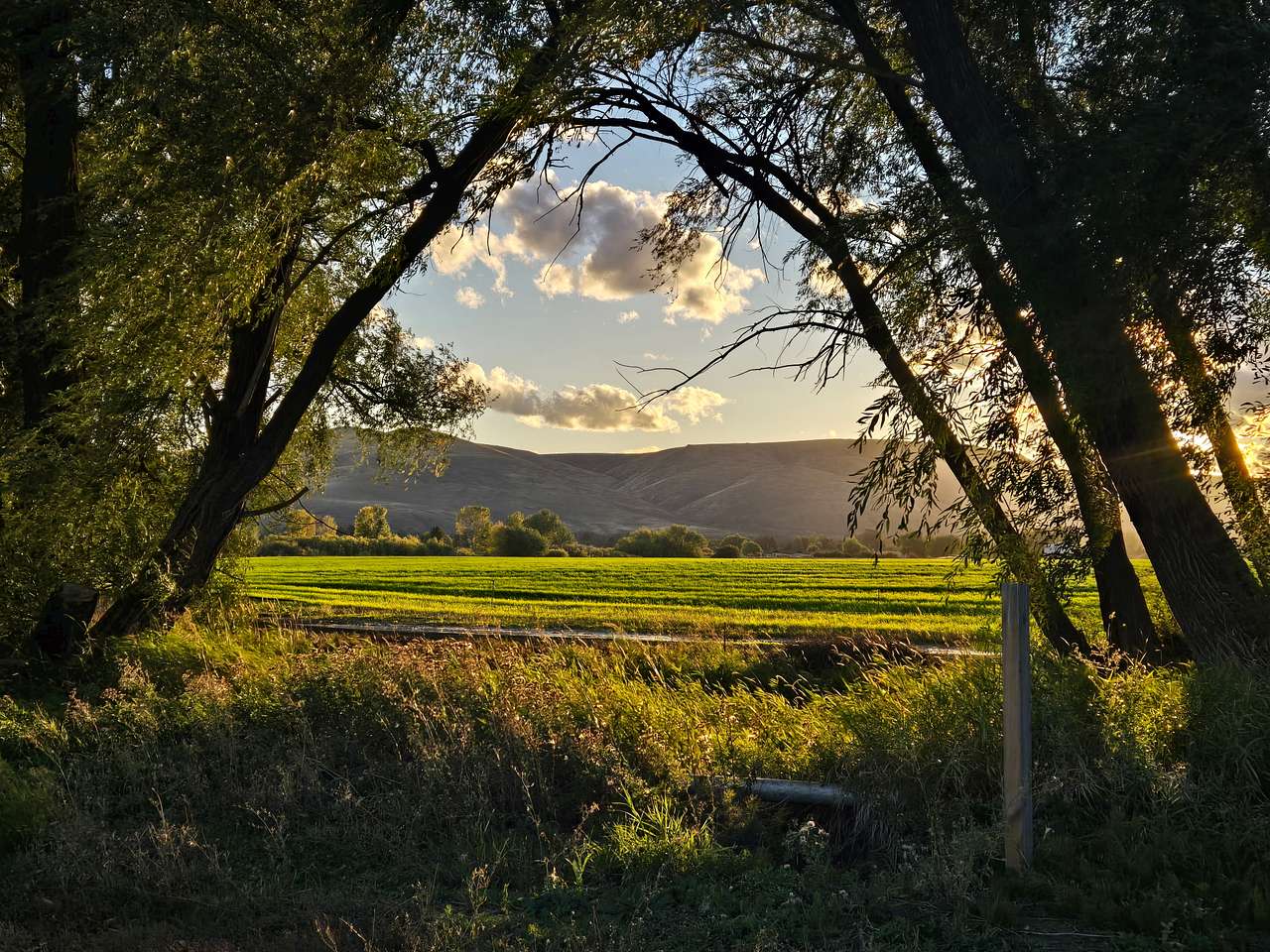 Beautiful evening.