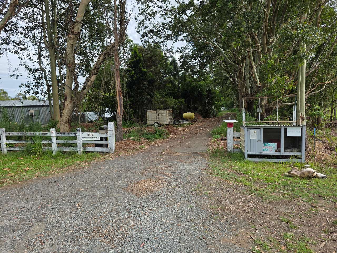 Picture of the site